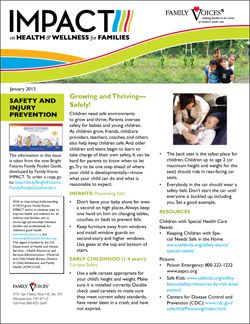 Safety and Injury Prevention Theme Update - January 2013
